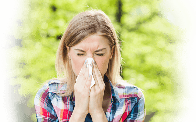 SUDAFED® Symptoms of Hay Fever -  Treatment & Medication