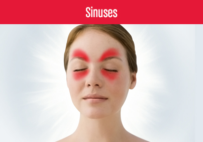 SUDAFED® Sinus Infection Symptoms & Pain Relief